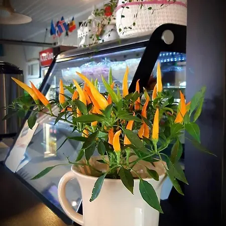 Pensionat Tristvere Guesthouse-cafe *